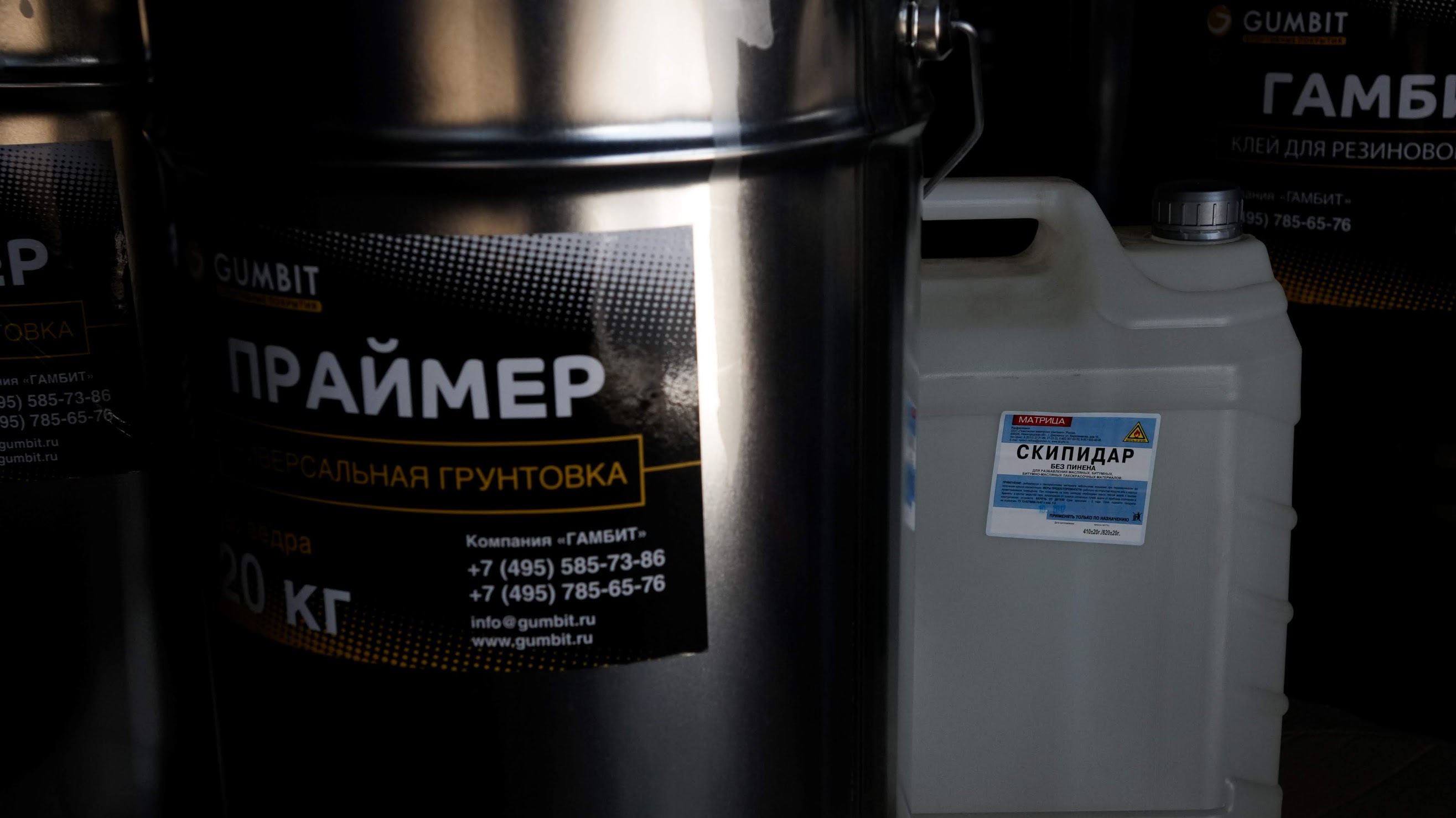 Праймер ГАМБИТ